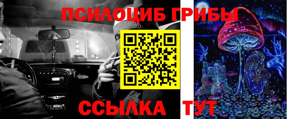 Псилоцибиновые грибы Magic Shrooms Кисловодск