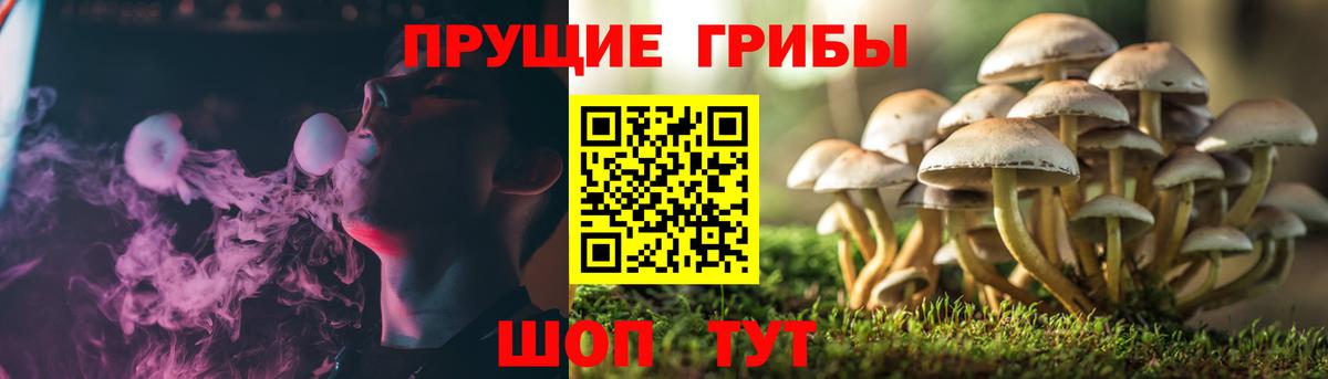 Галлюциногенные грибы GOLDEN TEACHER  Вход с VPN  Кисловодск 